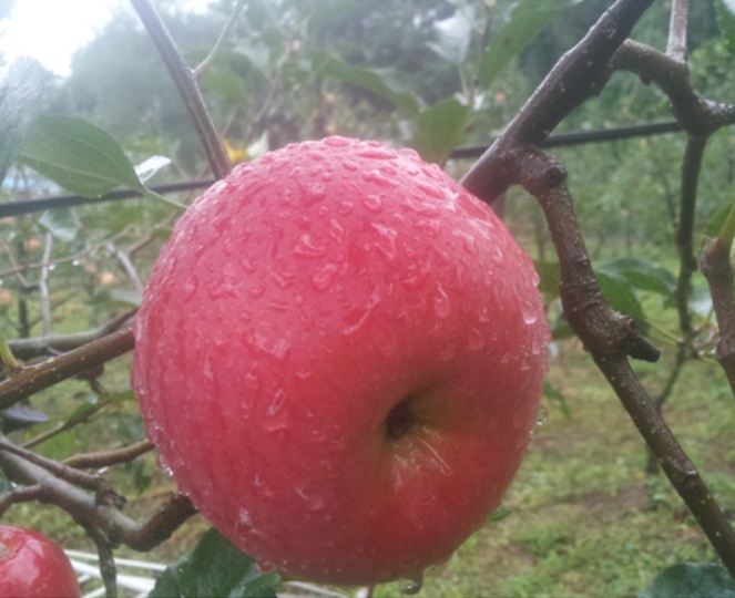 ���콺�� Ŭ���Ͻø� �����̹����� ���Ǽ� �ֽ��ϴ�.