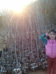 ���콺�� Ŭ���Ͻø� �����̹����� ���Ǽ� �ֽ��ϴ�.