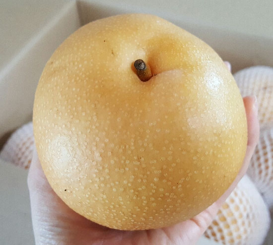 ���콺�� Ŭ���Ͻø� �����̹����� ���Ǽ� �ֽ��ϴ�.