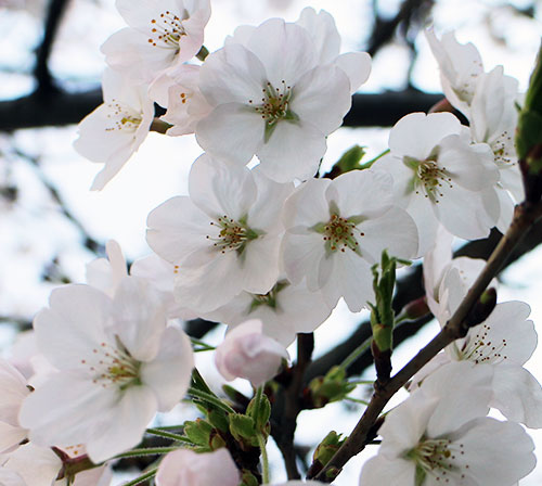 ���콺�� Ŭ���Ͻø� �����̹����� ���Ǽ� �ֽ��ϴ�.