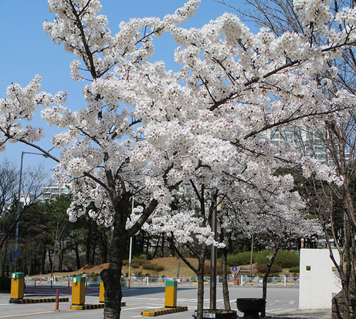 ���콺�� Ŭ���Ͻø� �����̹����� ���Ǽ� �ֽ��ϴ�.