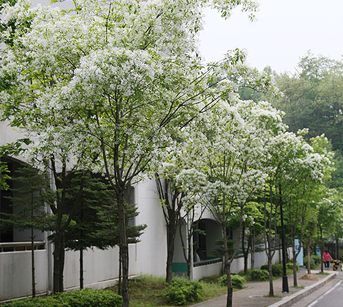 ���콺�� Ŭ���Ͻø� �����̹����� ���Ǽ� �ֽ��ϴ�.
