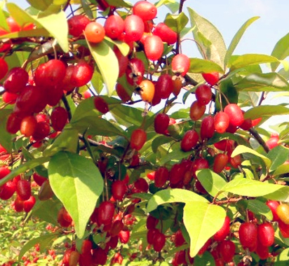 ���콺�� Ŭ���Ͻø� �����̹����� ���Ǽ� �ֽ��ϴ�.