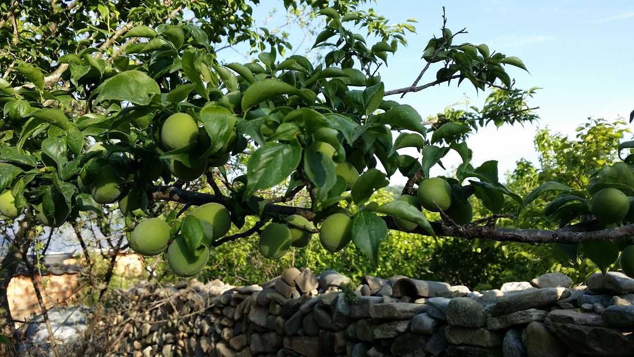���콺�� Ŭ���Ͻø� �����̹����� ���Ǽ� �ֽ��ϴ�.