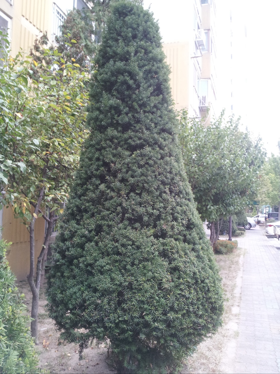 ���콺�� Ŭ���Ͻø� �����̹����� ���Ǽ� �ֽ��ϴ�.