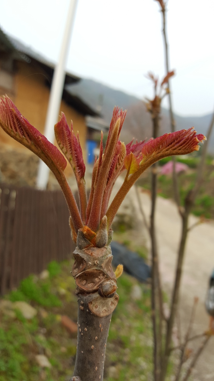 ���콺�� Ŭ���Ͻø� �����̹����� ���Ǽ� �ֽ��ϴ�.