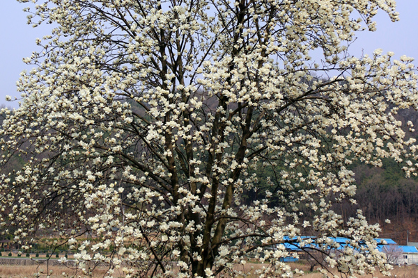 ���콺�� Ŭ���Ͻø� �����̹����� ���Ǽ� �ֽ��ϴ�.
