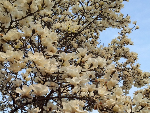 ���콺�� Ŭ���Ͻø� �����̹����� ���Ǽ� �ֽ��ϴ�.