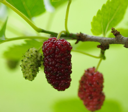 ���콺�� Ŭ���Ͻø� �����̹����� ���Ǽ� �ֽ��ϴ�.