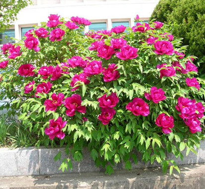 ���콺�� Ŭ���Ͻø� �����̹����� ���Ǽ� �ֽ��ϴ�.
