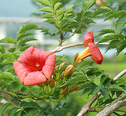 ���콺�� Ŭ���Ͻø� �����̹����� ���Ǽ� �ֽ��ϴ�.